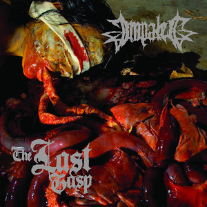 The Last Gasp cover