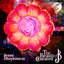 The Beauty Created cover