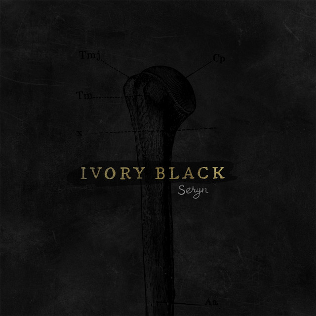 Ivory Black cover