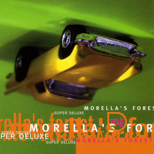 Morella's Forest photo