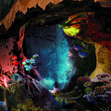 Decasia Photo