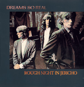 Rough Night in Jericho cover