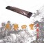Selected Zheng Music Albumcover