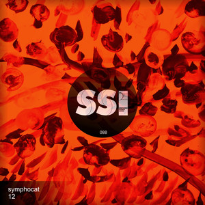 12 cover