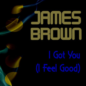 I Got You (I Feel Good) album