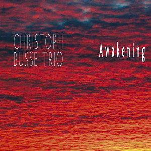 Christoph Busse Trio