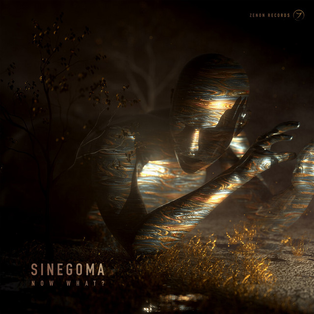 Sinegoma Photo