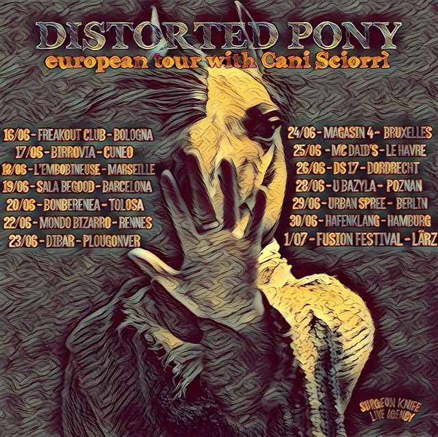 Distorted Pony photo