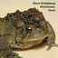 Oklahoma Toad cover