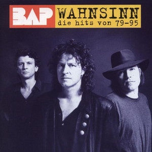 Wahnsinn - Die Hits Von '79 Bis '95 album