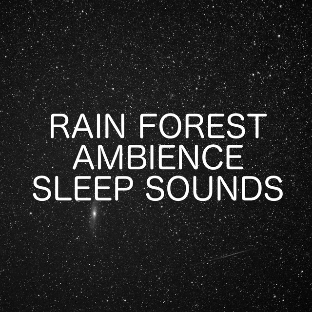 Ambient Noise Photo