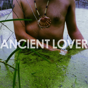 Fake Gold cover