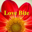 Love Bite cover