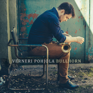 Bullhorn cover