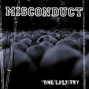 One Last Try cover