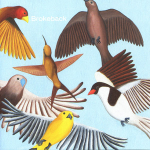 Looks at the Bird cover