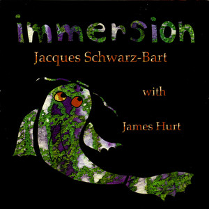 Immersion cover