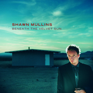 Beneath the Velvet Sun cover