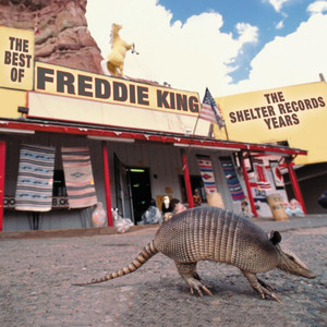 The Best of Freddie King album