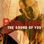 The Sound of You Albumcover