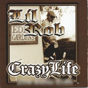 Crazy Life album