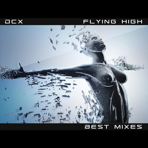 Flying High cover