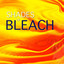 Shades of Bleach Albumcover