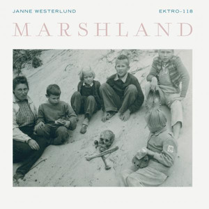 Marshland cover