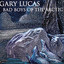 Bad Boys of the Arctic cover
