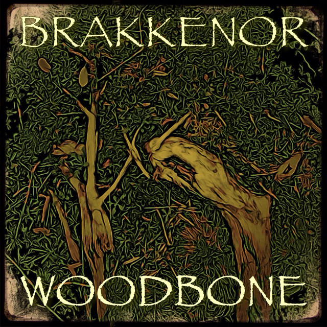 Brakkenor Photo