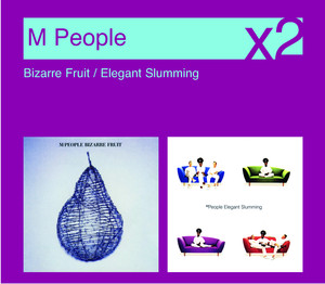 Bizarre Fruit / Elegant Slumming album