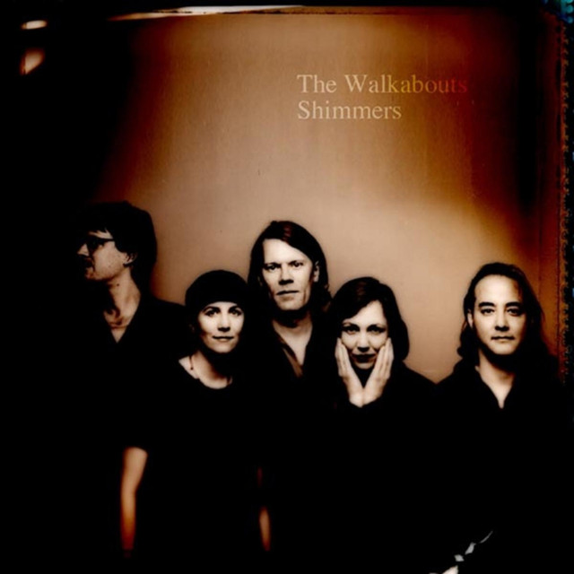 Shimmers cover