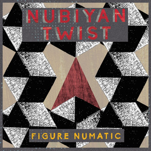 Nubiyan Twist Photo