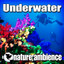 Underwater Albumcover