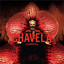 Live at Carnegie Hall cover