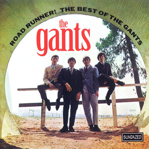 Road Runner! The Best of the Gants cover