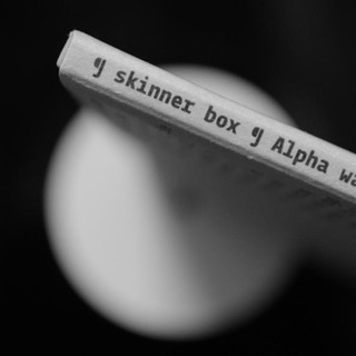Skinner Box Photo