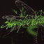 In The Wake Of Determination (Non-PA Version) cover