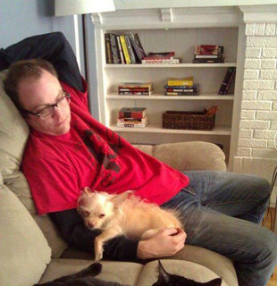 Doleful Lions Photo