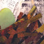 Nests cover