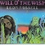 Will o' the Wisp cover