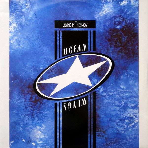 Ocean Wings Photo