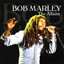 The Album cover