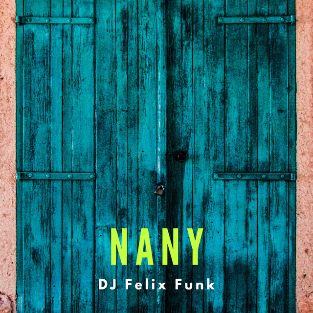 DJ Felix Photo