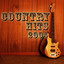 Country Hits 2004 Albumcover