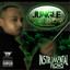 Instrumental Flows Albumcover