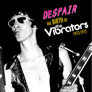 The Birth Of The Vibrators 1973-1975 cover