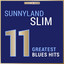 Masterpieces Presents Sunnyland Slim: 11 Greatest Blues Hits cover
