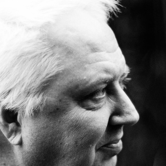 Brick Briscoe photo