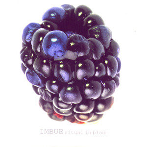 Ritual in Bloom cover